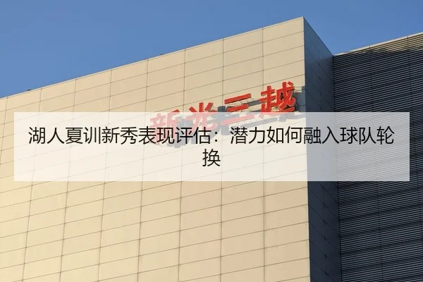 湖人夏训新秀表现评估：潜力如何融入球队轮换