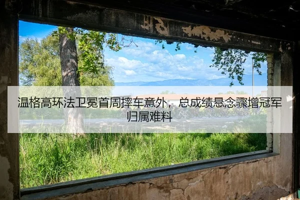 wen-ge-gao-huan-fa-wei-mian-shou-zhou-shuai-che-yi-wai-zong-cheng-ji-xuan-nian-zhou-zeng-guan-jun-gui-shu-nan-liao-2-436.jpg